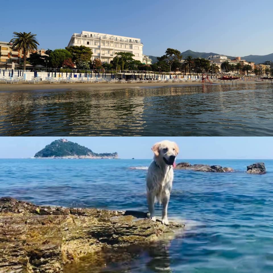 Vacanza a portata di zampa! Vacanza a portata di zampa!
